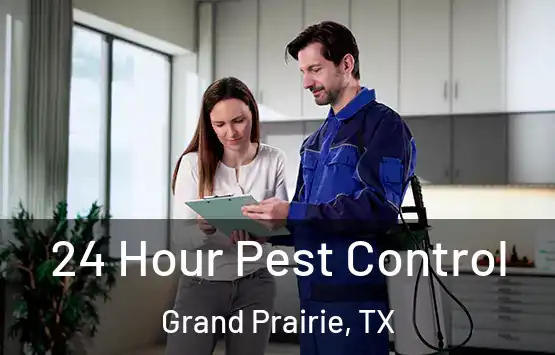  24 Hour Pest Control Grand Prairie, TX