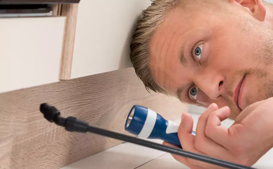 Top-Notch Pest Control in Grand Prairie