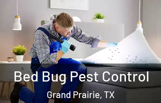  Bed Bug Pest Control Grand Prairie, TX