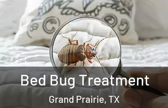  Bed Bug Treatment Grand Prairie, TX