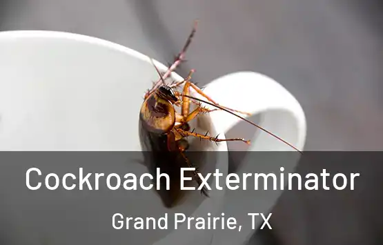  Cockroach Exterminator Grand Prairie, TX