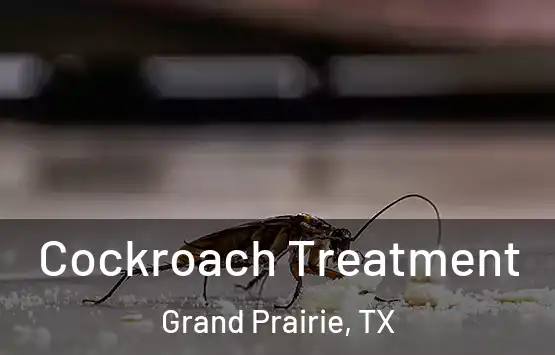  Cockroach Treatment Grand Prairie, TX