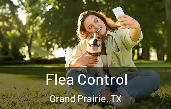  Flea Control Grand Prairie, TX