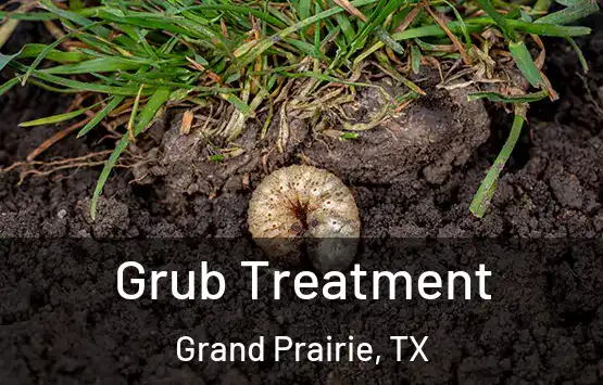  Grub Treatment Grand Prairie, TX