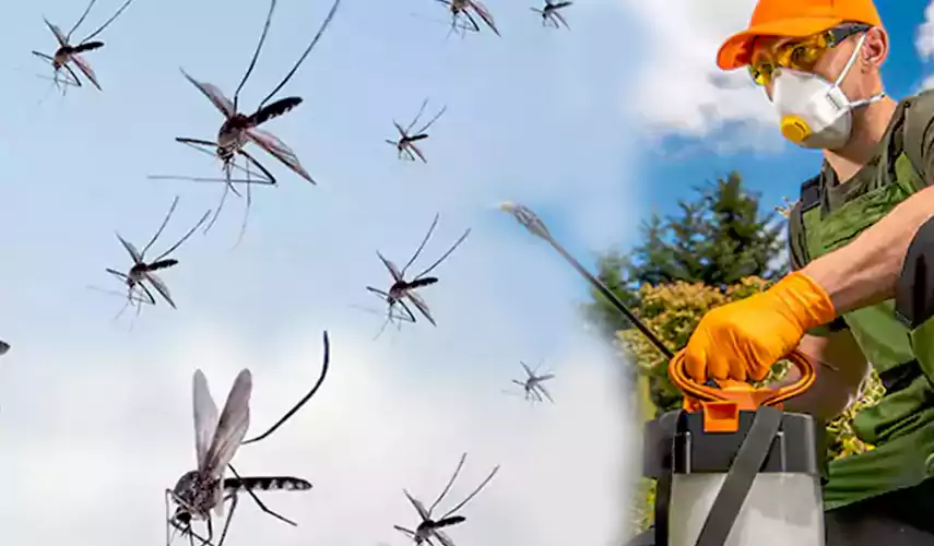 Mosquito Pest Control in Grand Prairie, TX
