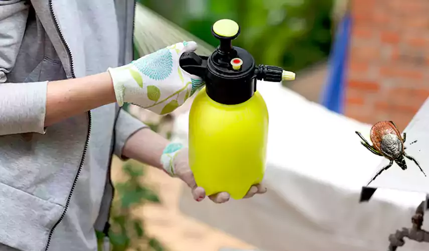 Ticks Pest Control Grand Prairie, Texas