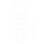 Carpenter Ants Pest Control Grand Prairie, TX