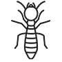 Termites Pest Control Grand Prairie, Texas