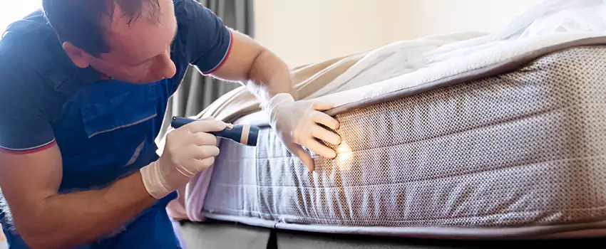 bed-bug-exterminator in Grand Prairie, TX