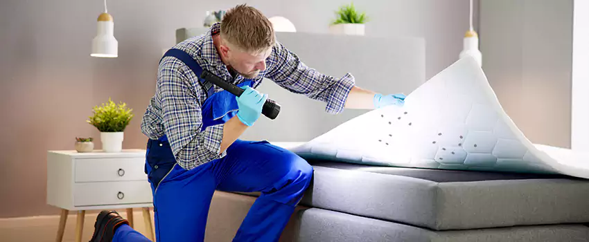 bed-bug-treatment in Grand Prairie, TX