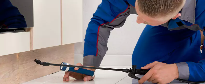 Ant Control for Bedrooms in Grand Prairie, TX