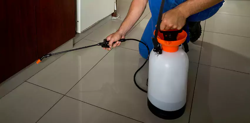 Commercial Pest Extermination for Offices in Grand Prairie, TX