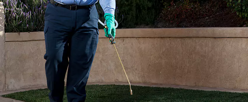 Emergency Pest Extermination for Children and Pets Grand Prairie, TX