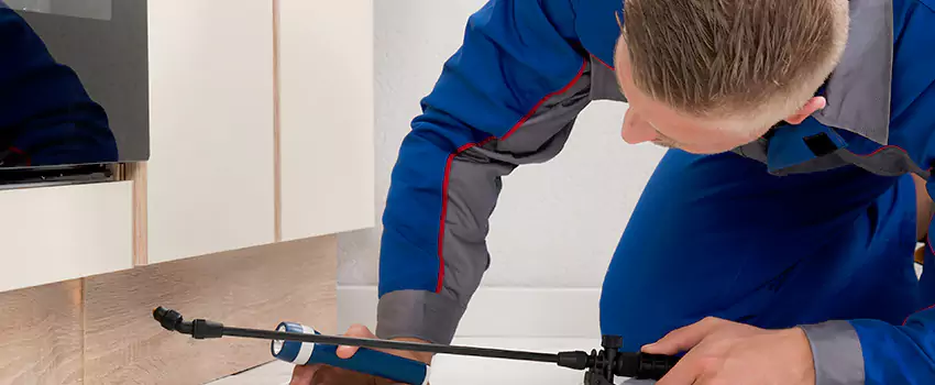 Termite Control for Children and Pets in Grand Prairie, TX