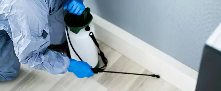 cockroach-exterminator in Grand Prairie, TX