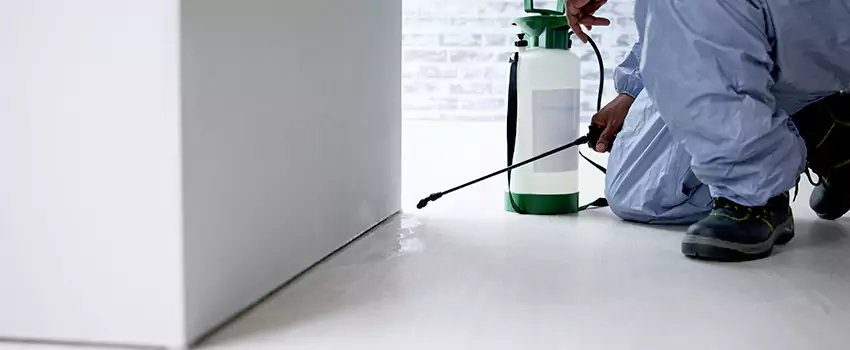 commercial-pest-control in Grand Prairie, TX