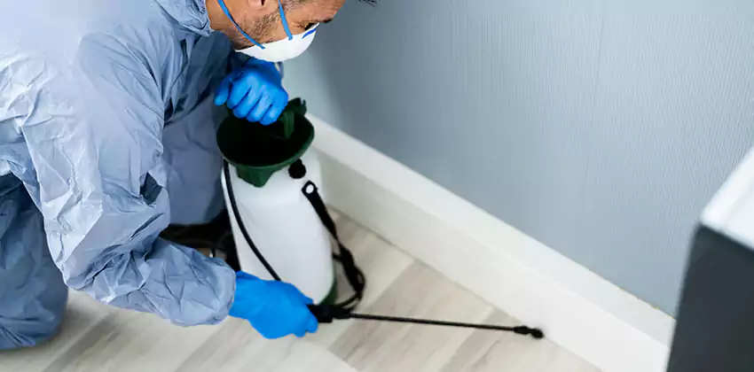 commercial-pest-exterminator in Grand Prairie, TX