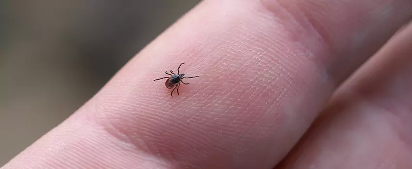 tick-control in Grand Prairie, TX