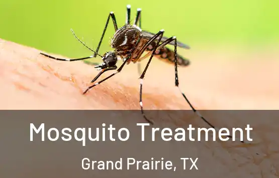  Mosquito Treatment Grand Prairie, TX