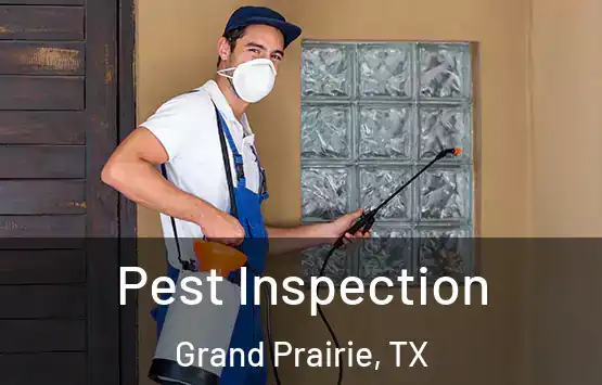  Pest Inspection Grand Prairie, TX