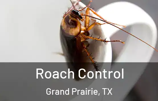  Roach Control Grand Prairie, TX