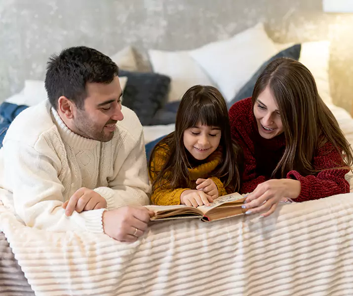 About Bed Bug Pest Control Grand Prairie