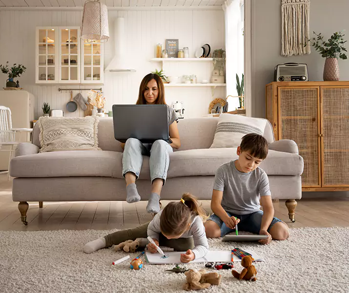 About Mice Control Grand Prairie