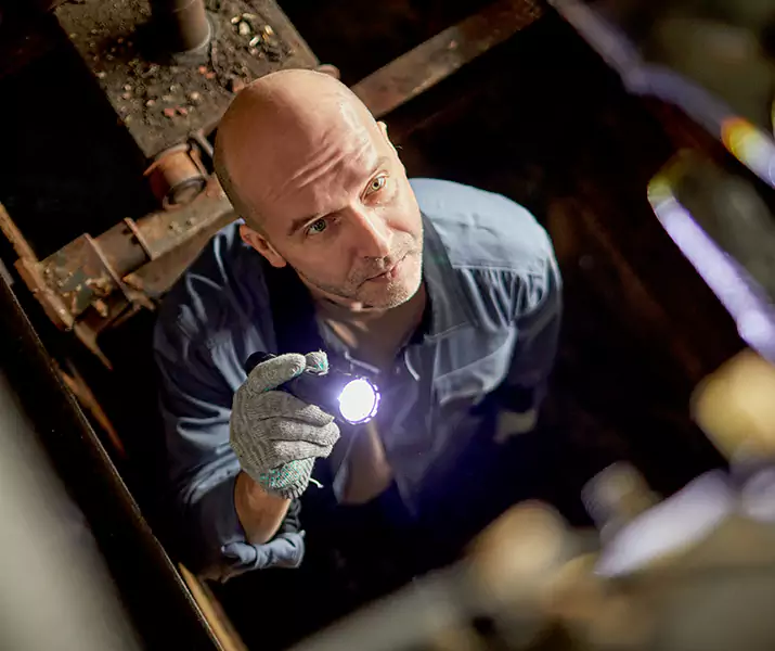 About Pest Inspection Grand Prairie