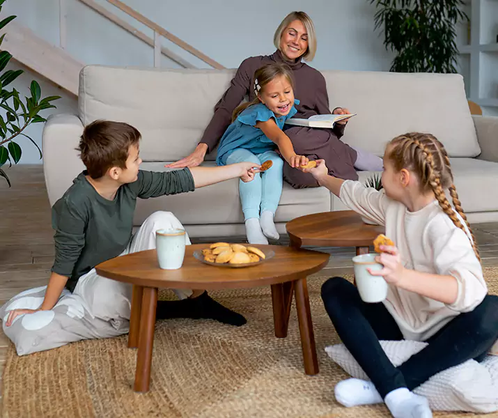 About Spider Exterminator Grand Prairie