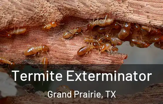  Termite Exterminator Grand Prairie, TX