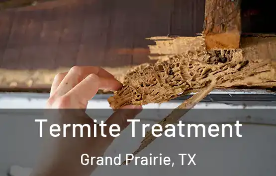  Termite Treatment Grand Prairie, TX