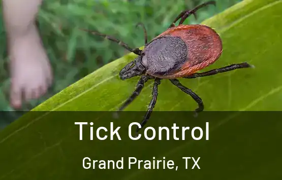  Tick Control Grand Prairie, TX