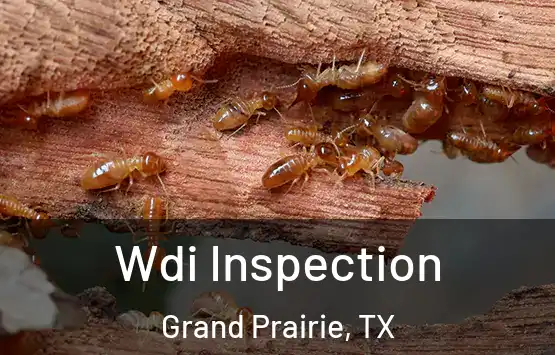  Wdi Inspection Grand Prairie, TX